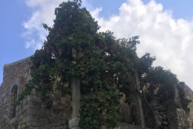 PRIVATE-Wine+ Olive Oil-Old Traditional Villages-Old Wind Mills - Practical Details and Booking Information