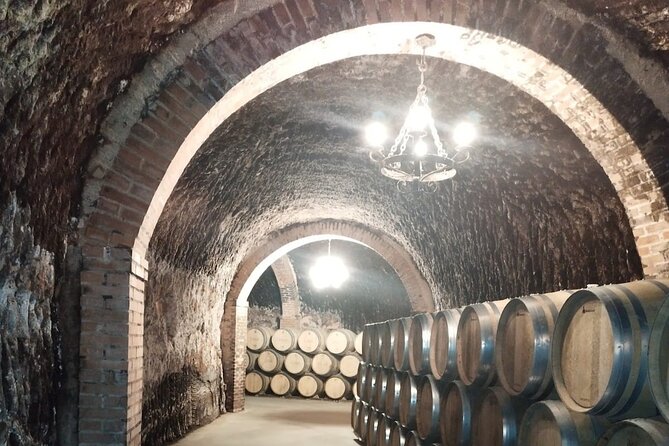 Private Wine Tasting And Visit Tour in Ribera Duero - Ribera del Duero’s Historic Caves and Authentic Charm