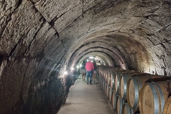 Private Wine Tasting And Visit Tour in Ribera Duero - The Guide’s Expertise and Personal Touch