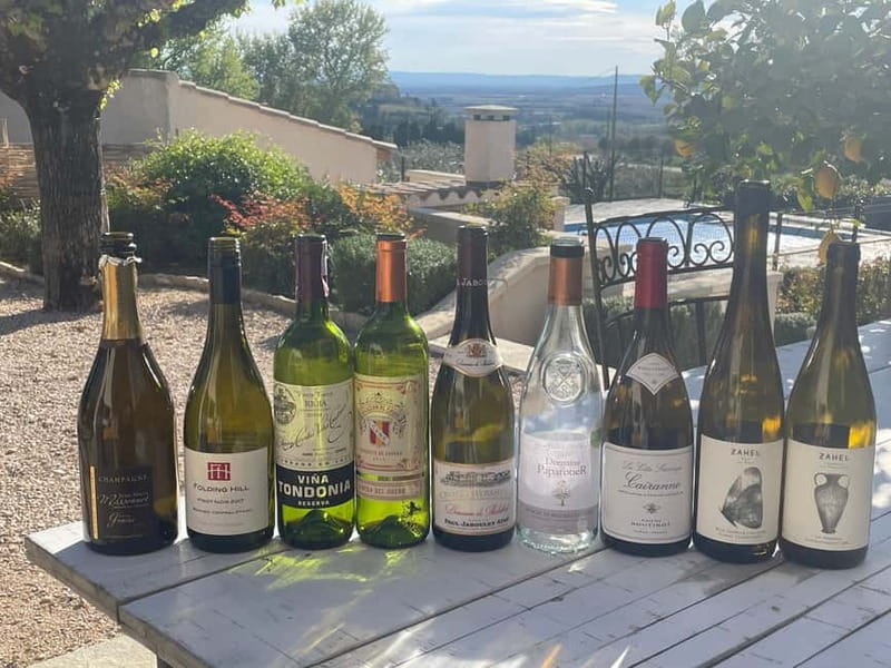 Private Wine Tasting at Your Holiday Rental - The Tasting Experience: What’s Included