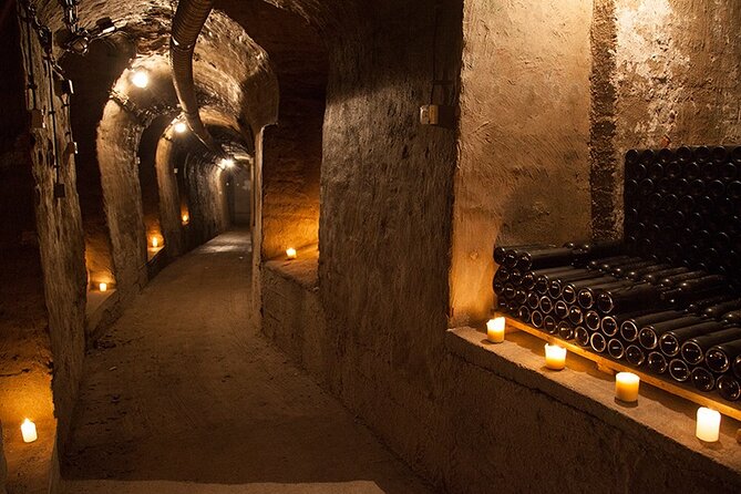 Private Wine Tasting by Party in Belgrade - Expert Guides and Their Knowledge of Serbian Wines