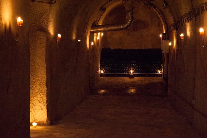 Private Wine Tasting by Party in Belgrade - The Sum Up: An Underground Experience Worth Savoring