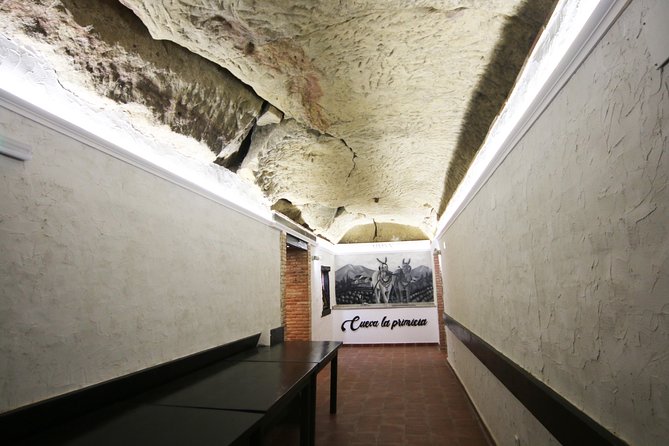 Private Wine Tasting in San Vicente de la Sonsierra - Visiting the Historic Winery from 1870 in San Vicente de la Sonsierra
