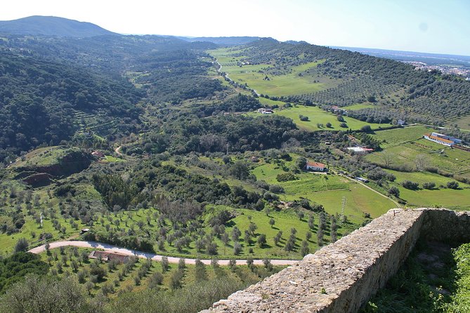 Private Wine Tasting in the Setúbal Wine Region, from Lisbon - Key Points