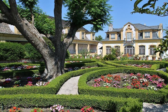 Private Wine Tasting in the Setúbal Wine Region, from Lisbon - The Setúbal Mother House and Co-op Wineries