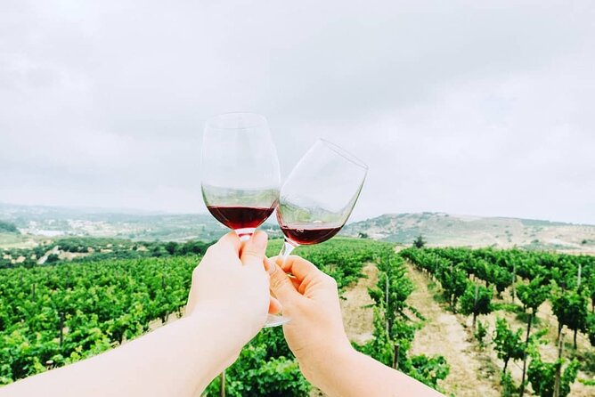Private Wine Tasting & Lunch @ Lyrarakis Winery - Transfer Inclu - The Sum Up: A Personalized Crete Wine Experience with Flexibility