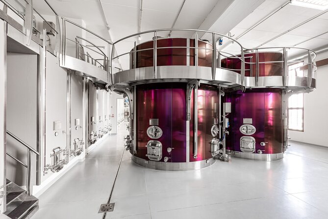 Private wine tasting of Palazzo di Varignana - Food Pairings to Complement the Wines