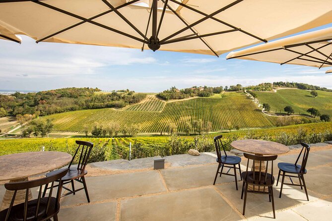 Private wine tasting of Palazzo di Varignana - Sharing Knowledge and Asking Questions