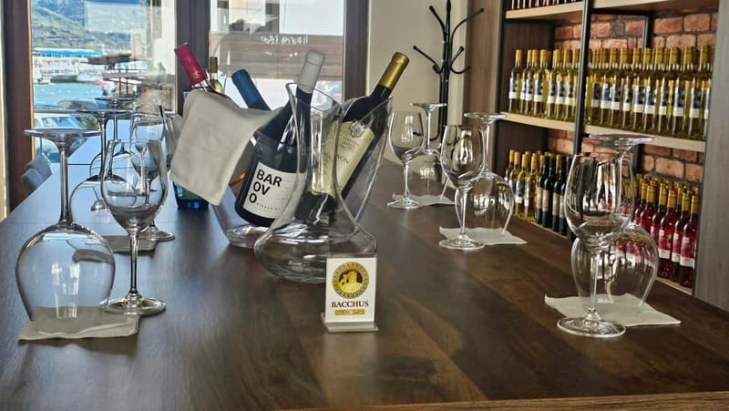 Private Wine Tasting Ohrid - Key Points