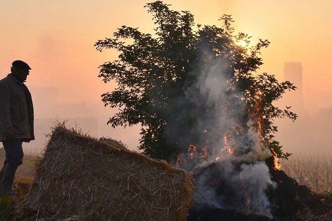 Private Wine Tasting Tour - Burgundy Uncorked!! - Logistics and Practical Details of the Tour