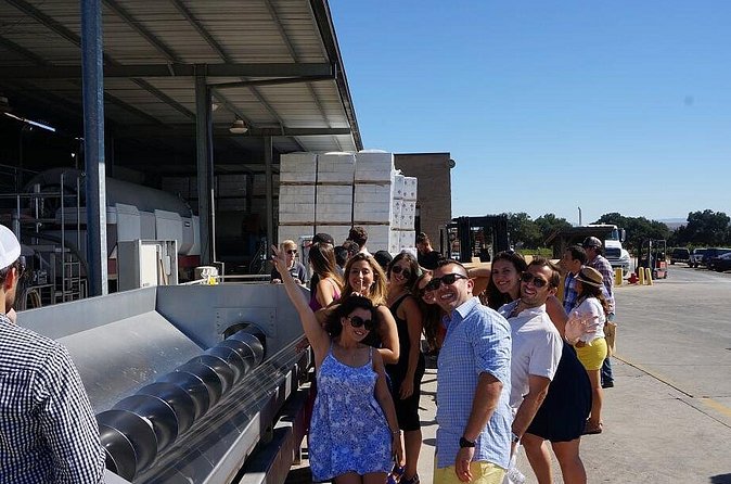 Private Wine Tasting Tour From Santa Ynez, Solvang or Buellton! - The Expertise of the Guides and Drivers