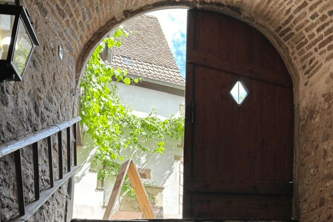 Private Wine Tasting Tour With Personal Driver in Alsace - Limitations and Considerations