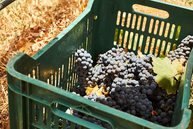 Private wine tasting & wine pairing tours - Flexibility and Cancellation Policy