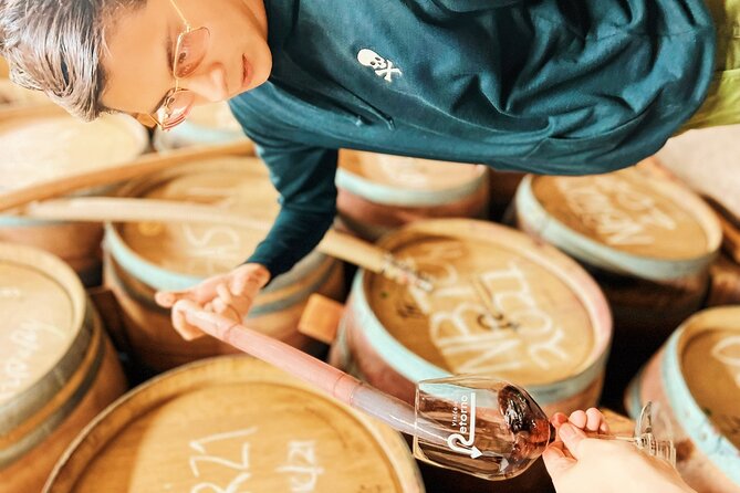 Private Wine Tour at Valle de Guadalupe (A wine tasting included). - Key Points