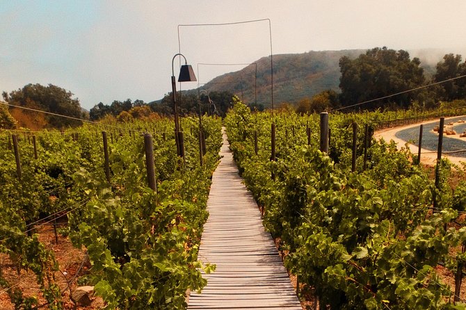 Private Wine Tour at Valle de Guadalupe (A wine tasting included). - The Logistics: Easy Booking and Clear Policies