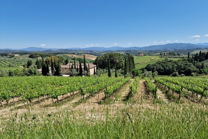 Private Wine Tour best of Chianti Tuscany 6 hours Limo Service - Personal Driver Takes the Wheel for a Stress-Free Journey