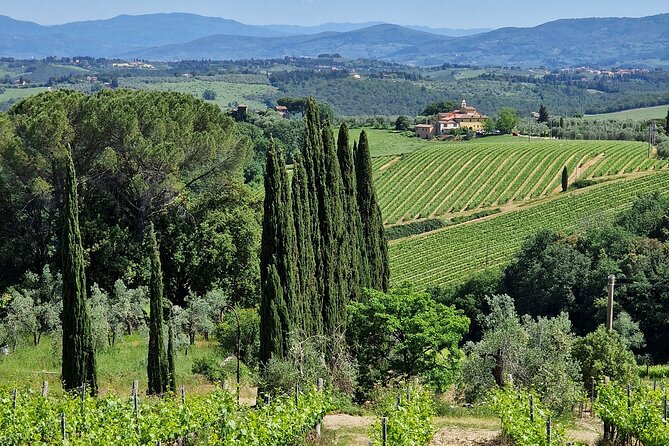 Private Wine Tour best of Chianti Tuscany 6 hours Limo Service - Visiting Poggio Amorelli for a Cellar Tour and Tastings