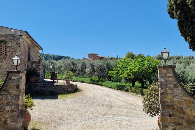 Private Wine Tour best of Chianti Tuscany 6 hours Limo Service - Hotel Pickup, Drop-Off, and Added Comforts