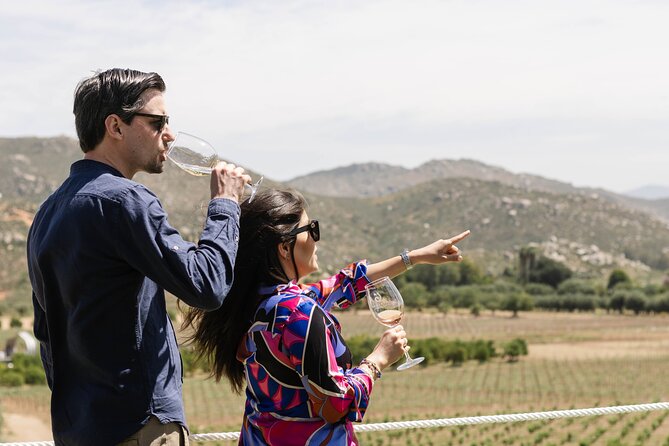 Private Wine Tour by Ansell Tours - Key Points