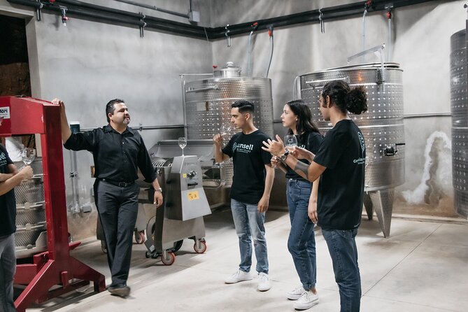 Private Wine Tour by Ansell Tours - Potential Limitations and Considerations