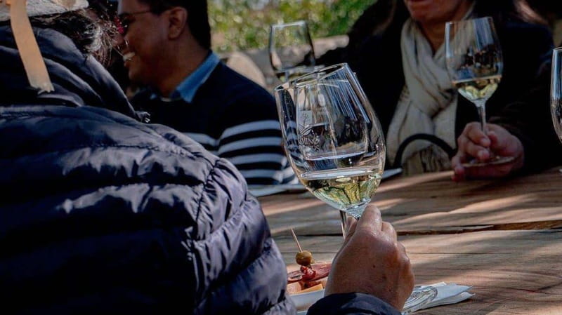 Private Wine Tour from Guanajuato City - Luxurious Private Wine Experience in Guanajuato