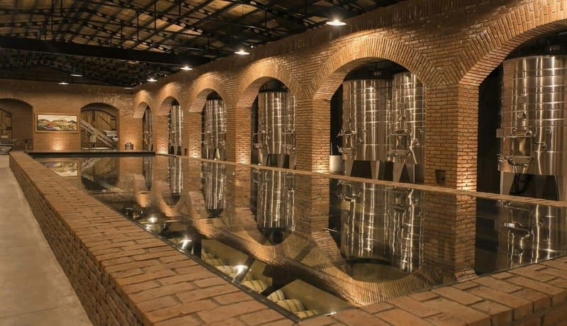 Private Wine Tour from Guanajuato City - Logistics and Practical Details