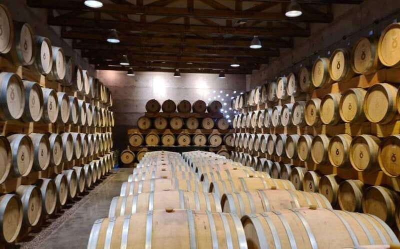 Private Wine Tour from Guanajuato City - The Value of a Private, Personalized Tour