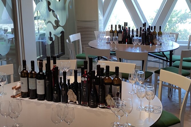 Private Wine Tour in 3 Wineries with 12 Wine Tastings and Tapas - Transportation and Group Size: Personal and Convenient