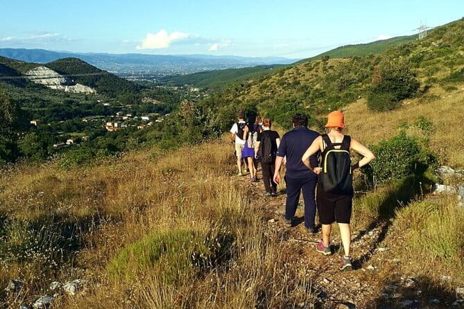 Private wine tour in Chianti Classico with sommelier (2 wineries) - Lunch at a Scenic Winery in Panzano in Chianti