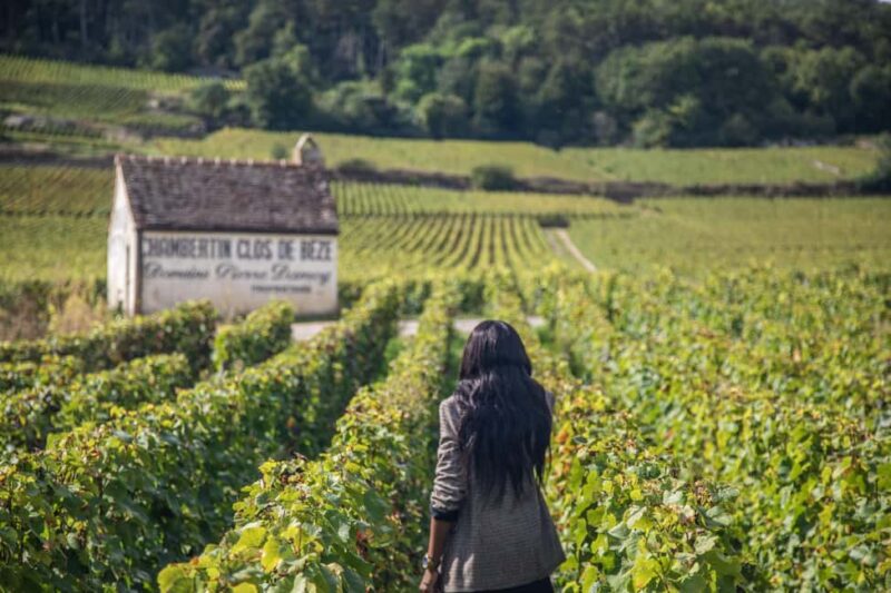 Private Wine Tour in Côte de Nuits and Côte de Beaune - Key Points