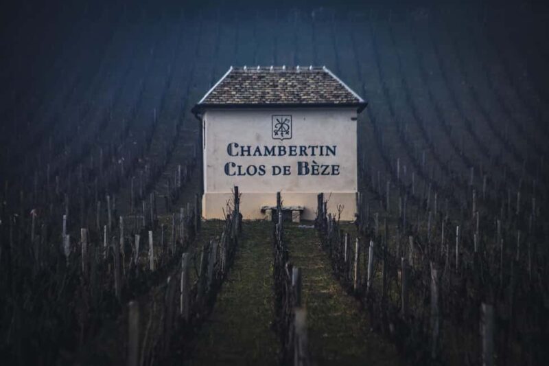 Private Wine Tour in Côte de Nuits and Côte de Beaune - Accessibility and Suitability