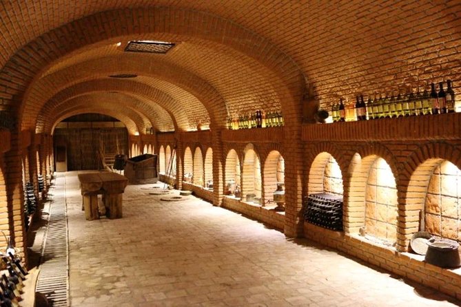 Private Wine Tour in Kakheti with Wine Tastings - Logistics: Comfortable Transport and Private Experience