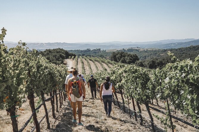 Private Wine Tour in Paso Robles - Transportation and Convenience: Private, Seamless, and Comfortable