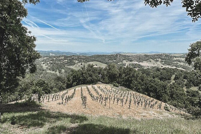 Private Wine Tour in Paso Robles - The Expertise of the Guides and Customer Service