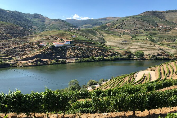Private Wine Tour in the Douro Valley - Private wine tastings and lunch included - Visiting Quintas for Authentic Port and Duoro DOC Wines
