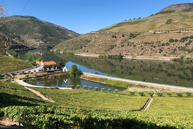 Private Wine Tour in the Douro Valley - Private wine tastings and lunch included - Who Will Appreciate This Tour Most?