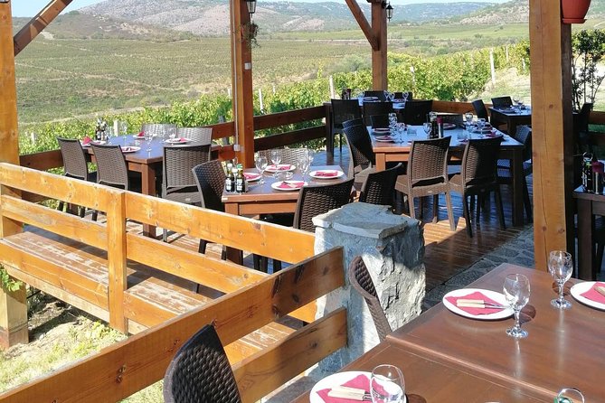 Private Wine Tour of Chateau Sopot Winery from Skopje - Accessibility and Suitability