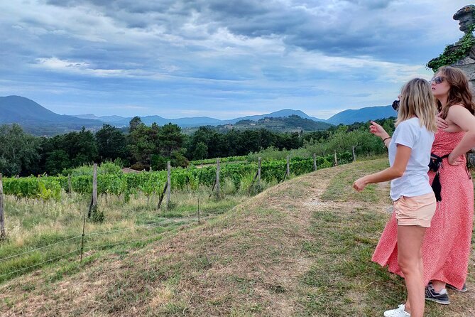 Private wine tour on the magical hills of Lucca (2 wineries) - The "Light Lunch" and Its Role in the Tour