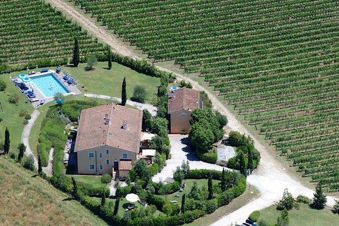Private wine tour on the magical hills of Lucca (2 wineries) - Who Will Enjoy This Tour the Most