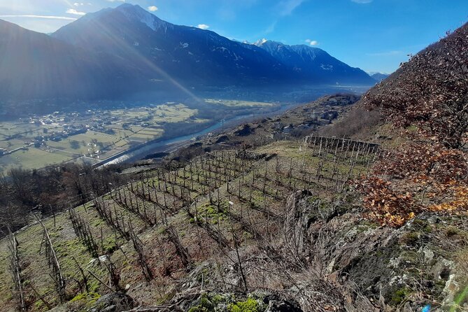 Private Wine Tour: Terraced Vineyards with Alpine view from Milan - Visiting the First Winery for a Behind-the-Scenes Look