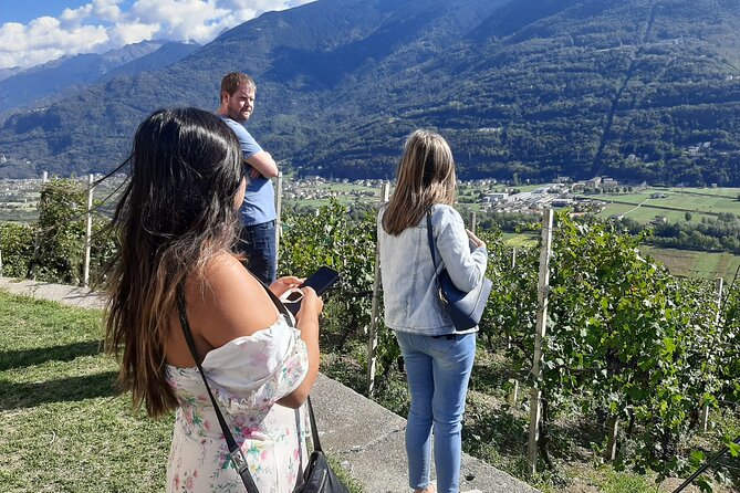Private Wine Tour: Terraced Vineyards with Alpine view from Milan - Enjoying a Self-Arranged Lunch with Local Wines