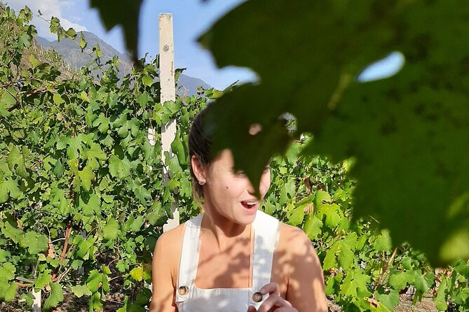 Private Wine Tour: Terraced Vineyards with Alpine view from Milan - Visiting a Second Winery for Deeper Wine Insights