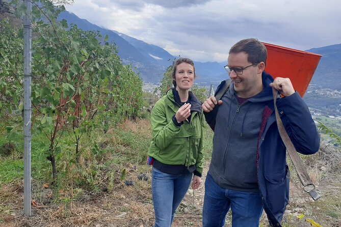 Private Wine Tour: Terraced Vineyards with Alpine view from Milan - Ease of Logistics and Guide Expertise