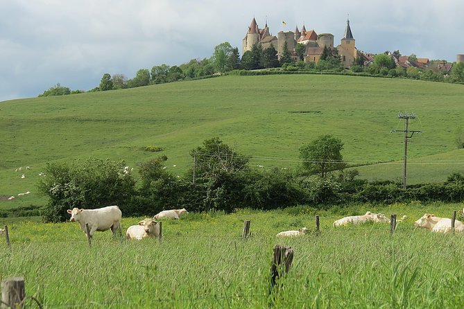 Private Wine Tour to Burgundy Region from Paris - Discover Burgundys Top Wineries and Historic Sites