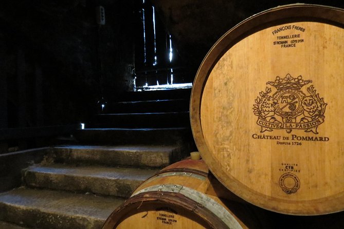 Private Wine Tour to Burgundy Region from Paris - Value and Suitability