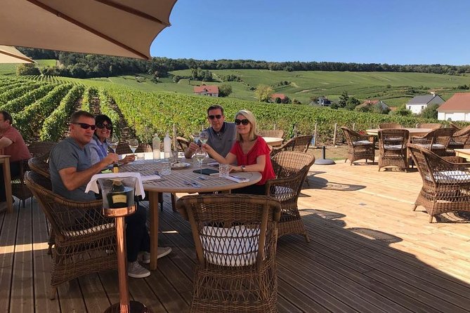 Private wine tour to Champagne region from Paris - Logistics and Transportation: Comfort and Convenience