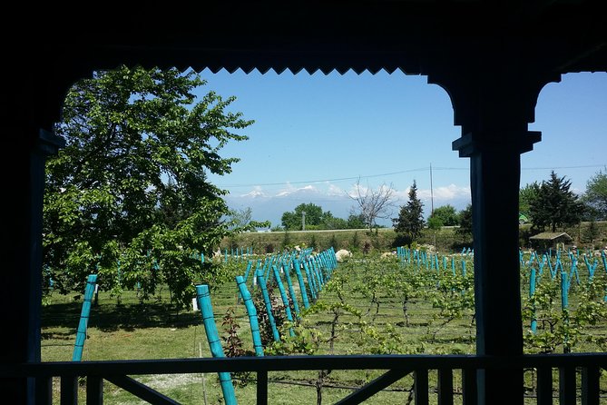 Private Wine Tour to Kakheti from Tbilisi - Scenic Drive Along the Gombori Pass to Tsinandali