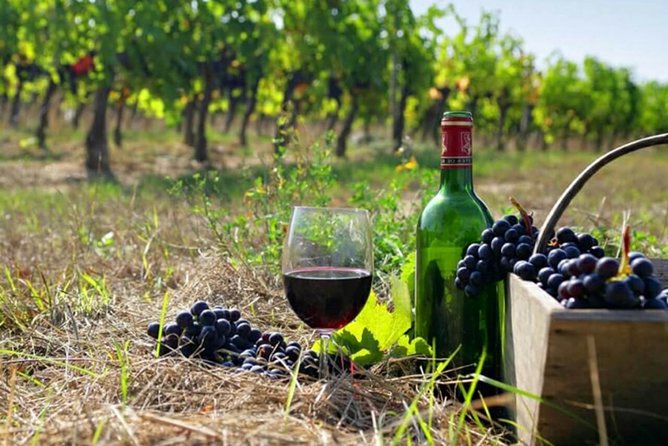 Private wine tour to Khor Virap, Areni winery, Noravank - Discover Armenia’s Christian Heritage and Wine Culture in a Private Tour