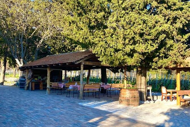 PRIVATE Wine Tour to Konavle country side - The Atmosphere: Cozy, Authentic, and Welcoming