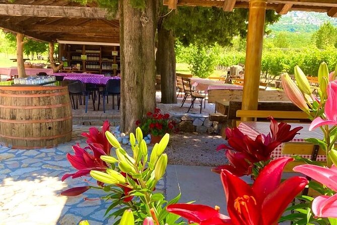 PRIVATE Wine Tour to Konavle country side - Ease of Access and Pacing